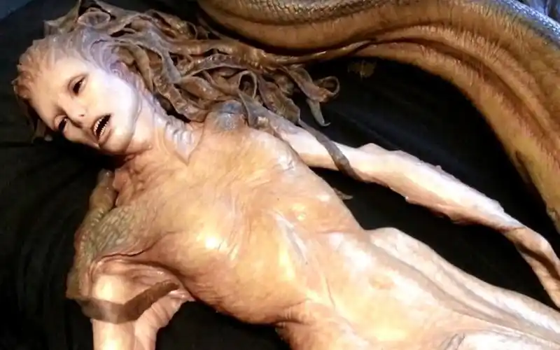 【中英字幕】10个国外真正发现的美人鱼事件_哔哩哔哩 (゜-゜)つロ