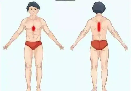 爱惜自己的身体,倾听身体的语言石兴凯中医调理身体