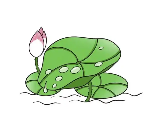 重庆日报数字报- p> 神奇的莲叶效应带你了解滴水不沾的秘密  /p>