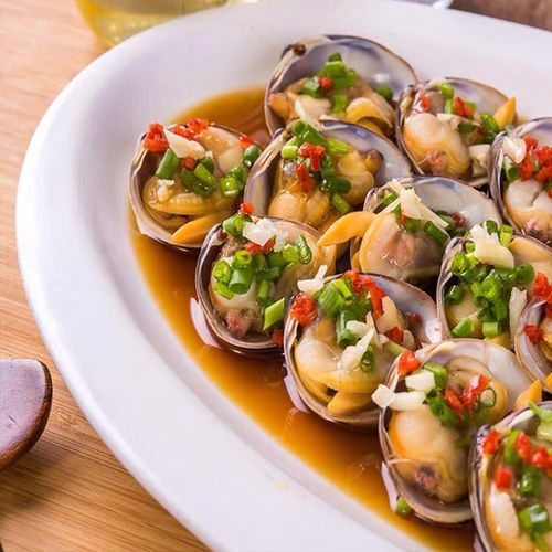 丹东黄蚬子鲜活无沙超大特大东港野生蛤蜊新鲜大文贝