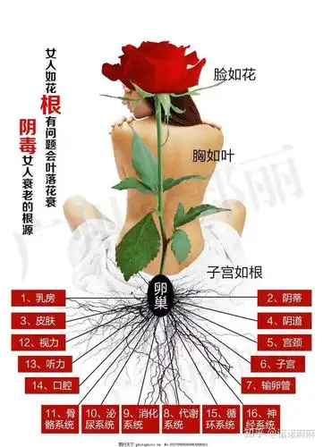 一张图告诉你,为什么要保养卵巢,为什么养巢包这么重要