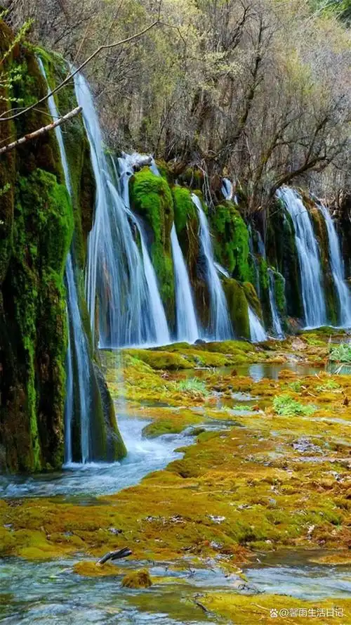 被誉为"人间仙境",这里的山水美景让人流连忘返.