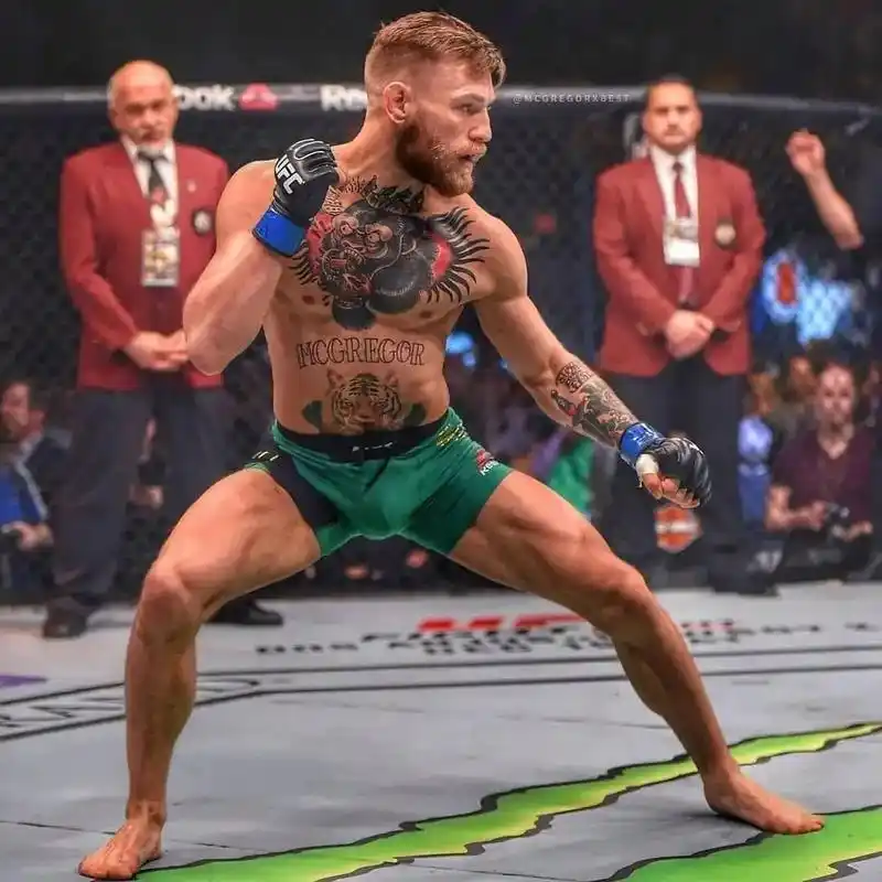 康纳图片.#ufc #轻量级#康纳#综合格斗 #mma  - 抖音