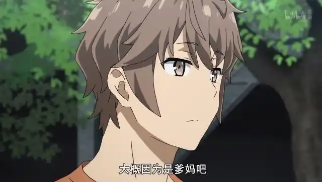 兔女郎学姐咲太一家四口只有他自己才能感受那份苦