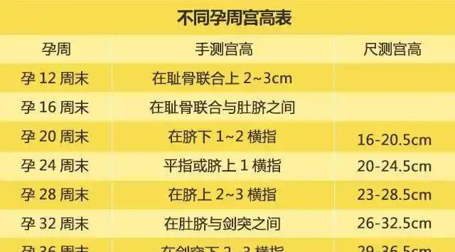 不同孕周宫高的正常值是多少?