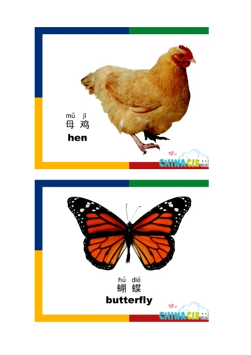 幼儿识物卡片.doc