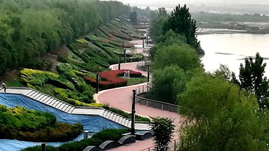 渭河湿地公园随手拍