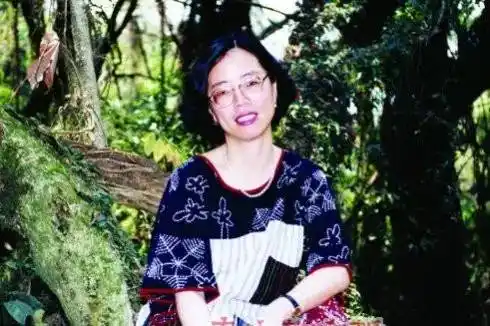 舒婷(作家,全国政协委员)