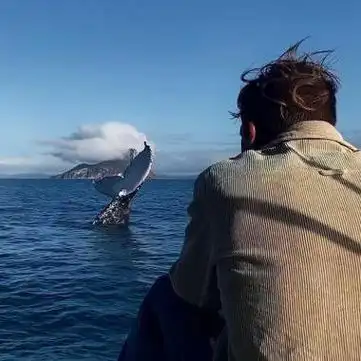 唯美好看的伤感风景头像男图片大全 有意境的男生伤感头像