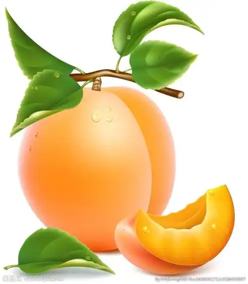 一颗黄桃 黄桃特写设计图__psd分层素材_psd分层素材_设计图库_昵图网