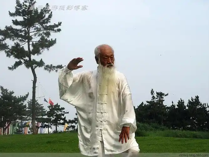 仙风道骨明星般美髯公太极老神仙实拍