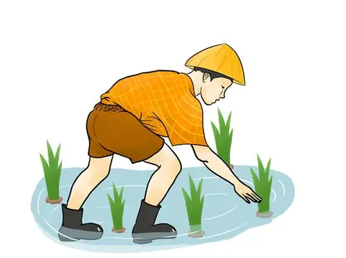 手绘卡通节气芒种插秧人物素材