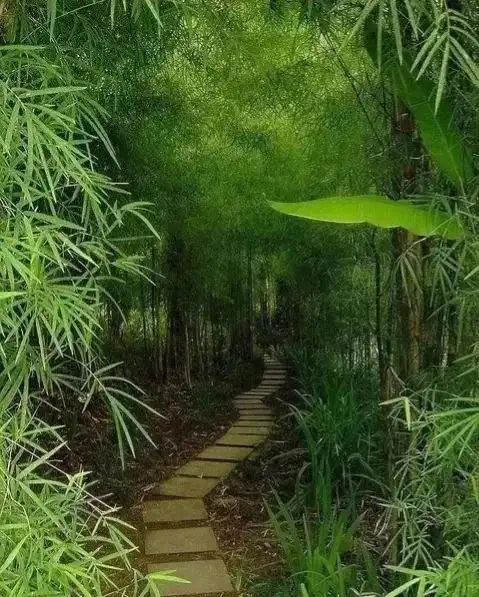 10首隐士古诗词,纵情山水,归隐山林,意境脱俗,治愈尘心