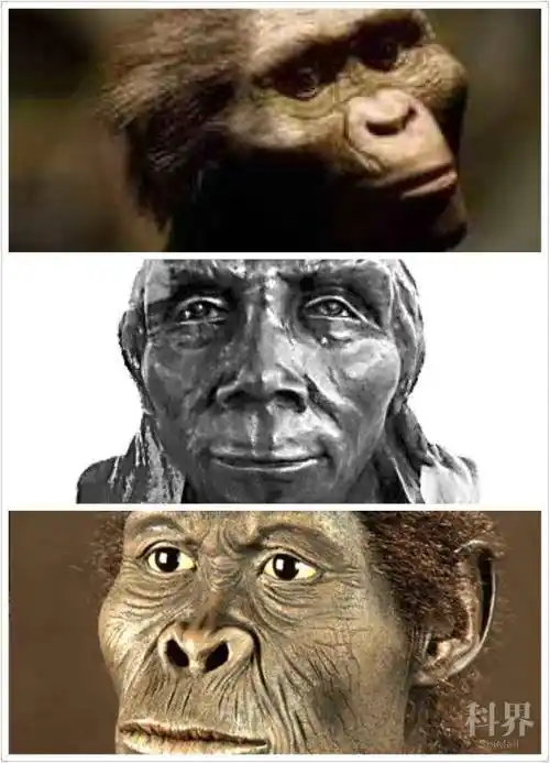 最早智人化石在摩洛哥出土