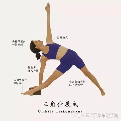 练得安全透析入门经典体式三角伸展式战士第二式