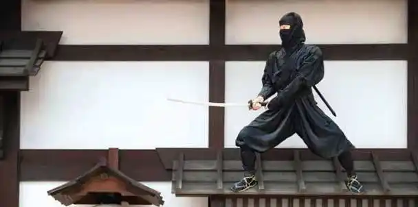 日本鬼影:探寻忍者在日本历史中的角色_武士_家族_世纪