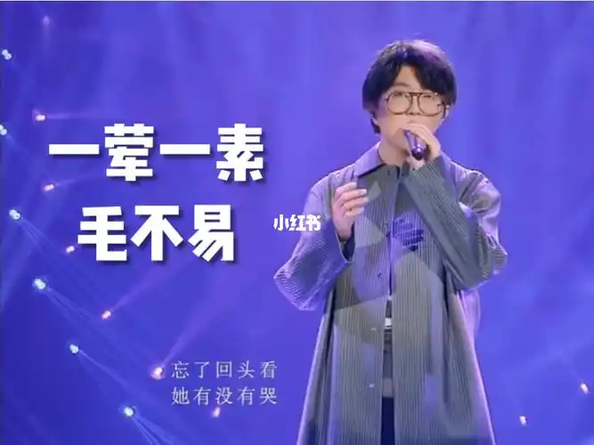 毛不易一荤一素