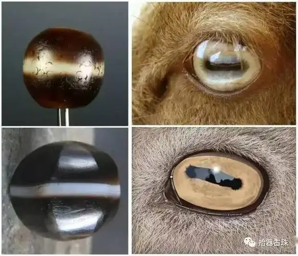 古珠小知识-"羊眼"和"马眼"