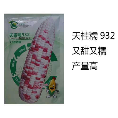 天贵糯932甜糯玉米种子 蔬菜种子四季播200克玉米种子