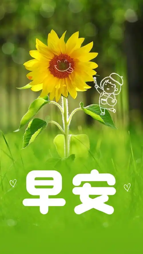 早安顺义##早安