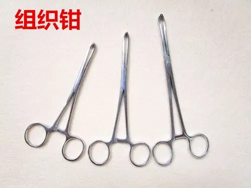 不锈钢医用组织钳爱丽丝钳鼠齿钳艾利斯钳钳子141618cm