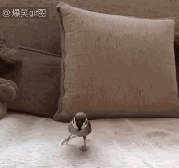 这个后空翻我服!2.