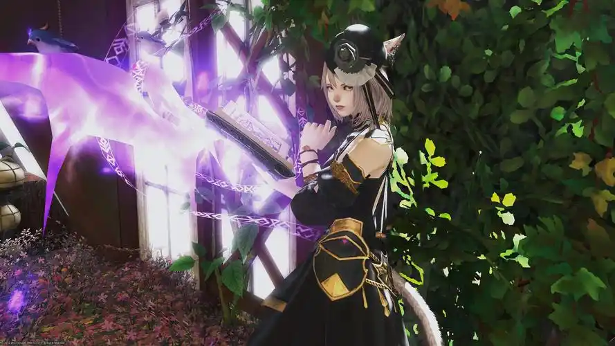 ff14你就写你现在是小翅膀的召唤了