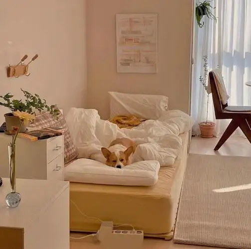 ins风少女心卧室改造