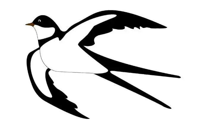 飞翔的燕子简笔画图片