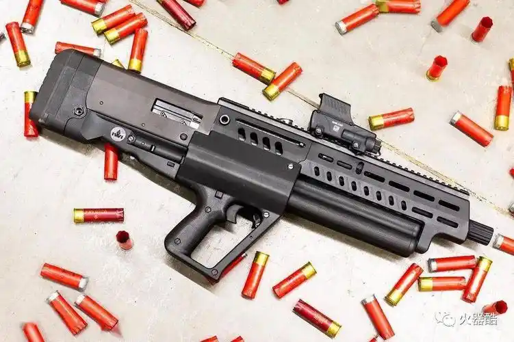 科幻小钢炮以色列iwi公司塔沃尔ts12霰弹枪图集