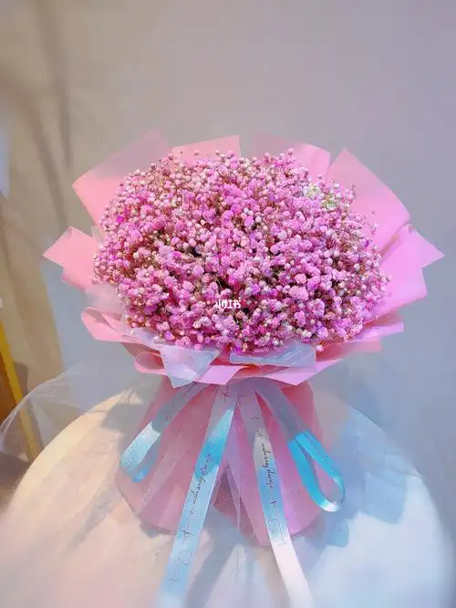 每日一束花满天星