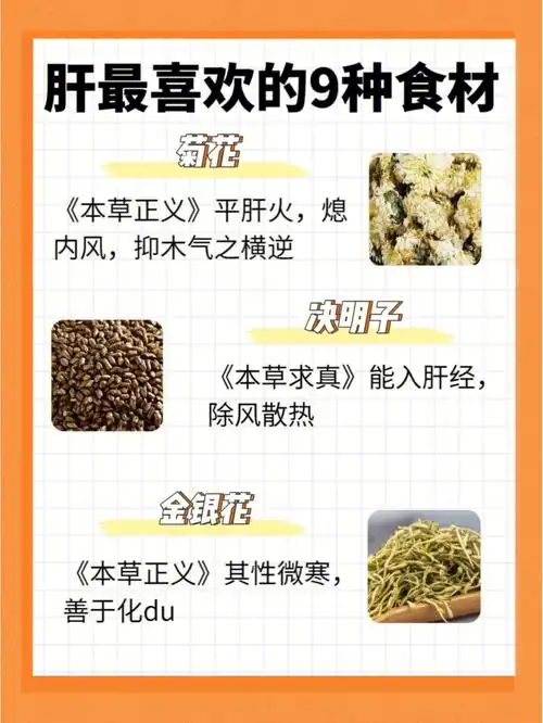 肝最喜欢的966种食材肝好人更美
