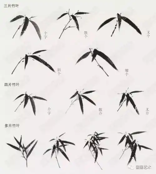 国画竹子写意画法图文教程|墨色|竹叶|竹干|布势_网易订阅