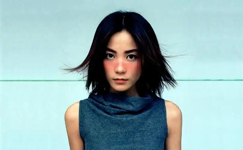 王菲为什么是肉莲花法器 说王菲肉莲法器是什么意思和原因