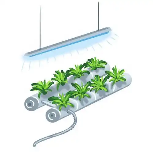 无土栽培技术新农业科技创新手绘插画2637430图片素材