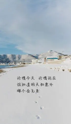 爱情伤感文字图片励志文字语录图片