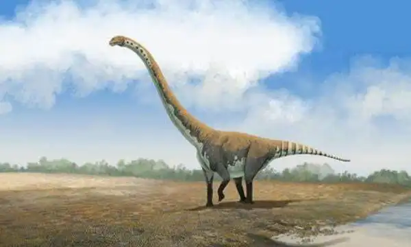 峨眉龙四川巨型恐龙长20米脖子是尾巴15倍长