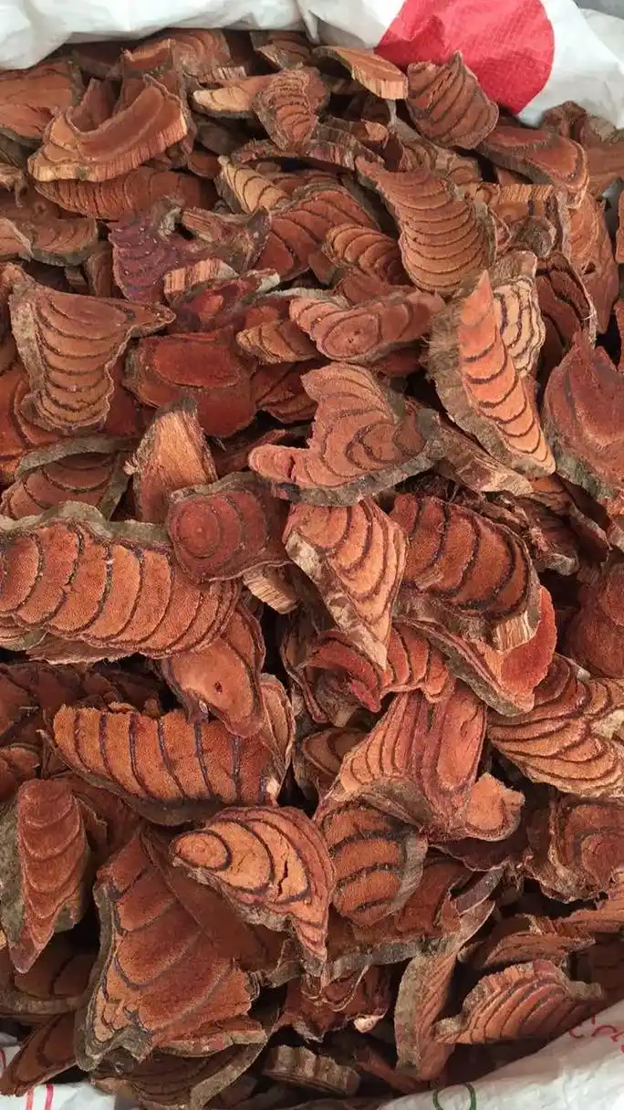 热点品种鸡血藤近期行情走势简析