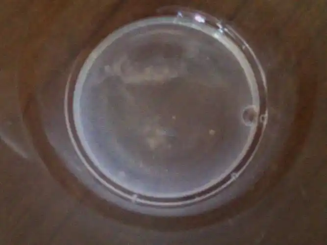 精液这个颜色正常吗?