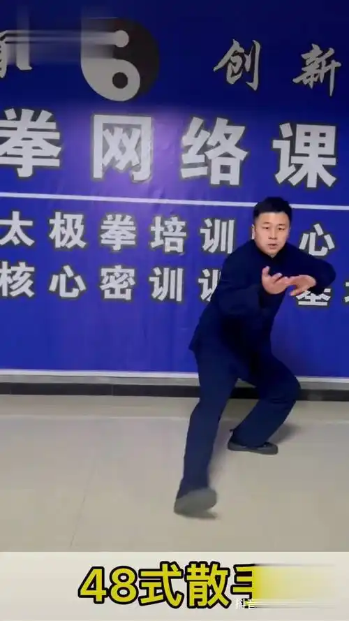 48式散手 陈氏太极拳 朱亚伦老师太极拳48式散手显示,喜欢的收藏学习