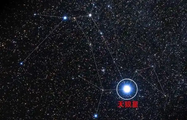 为什么天狼星在很有文化中都有特别的意义