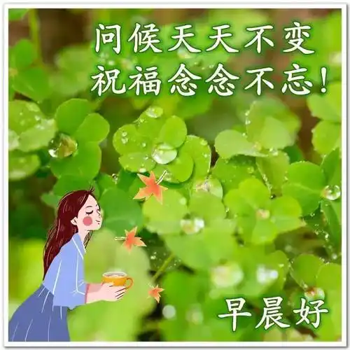 8张最新清新漂亮夏日早上好祝福图片带字 好看的夏天风景早安图片带字