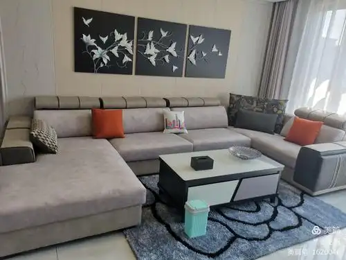 大客厅,成都大品牌派尼尔沙发