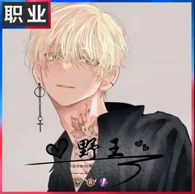 王者荣耀职业头像