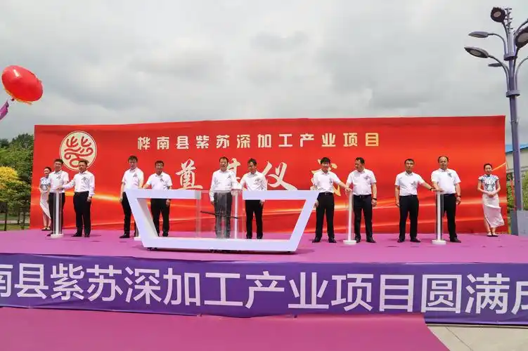 桦南县紫苏深加工产业项目开工奠基仪式圆满成功!(图7)