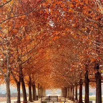 位于河南省洛阳市洛龙区王城大桥.@大河洛阳魂的动态