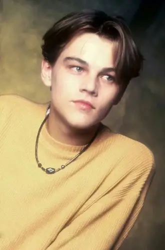 小李子的盛世美颜,my love