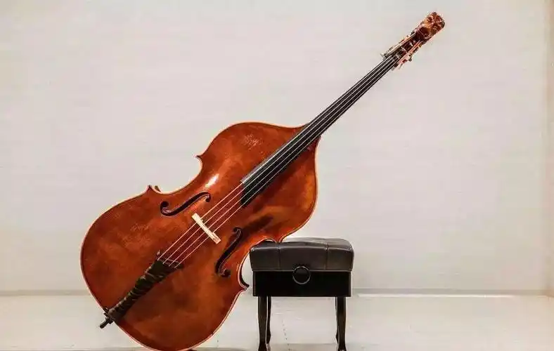 8首绝美低音提琴曲美到内心融化