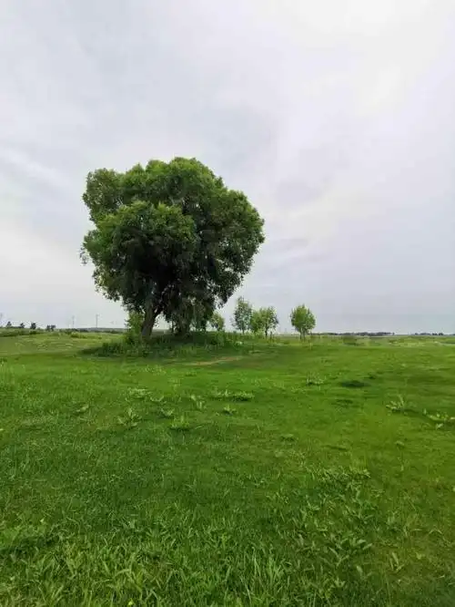 张北天保那苏图草原旅游度假区