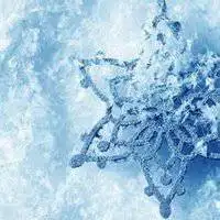 冬天头像图片大全_微信头像图片大全